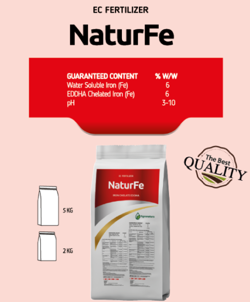 NATURFE